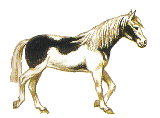 ca0b069fc2_44803185_o2[1]