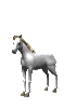 7e5f60fa75_2761435_o2[1]