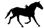 d9b1a2c77b_47524567_o2[1]