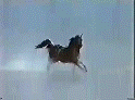 ad3b0c1338_13454063_o2[1]