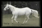 fa75c11bc0_13454831_o2[1]
