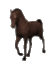 konik1[1]