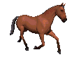 0055[1]